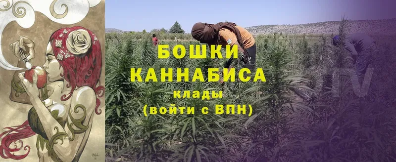 Шишки марихуана LSD WEED  shop как зайти  Навашино 